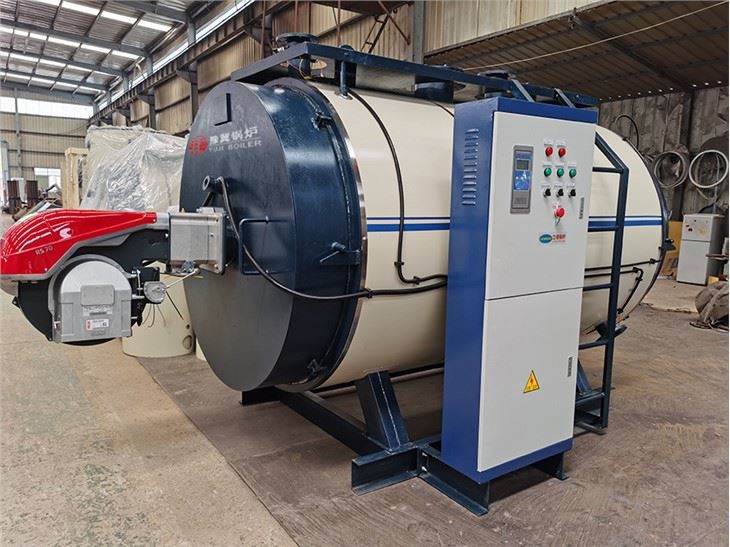 1-10t Wns Series Diesel Gas Fired Steam Boiler