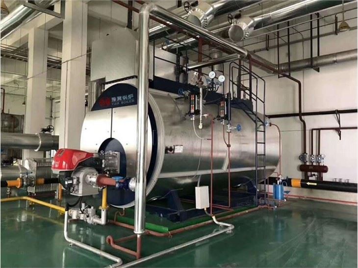 Pasteurization Steam Boiler