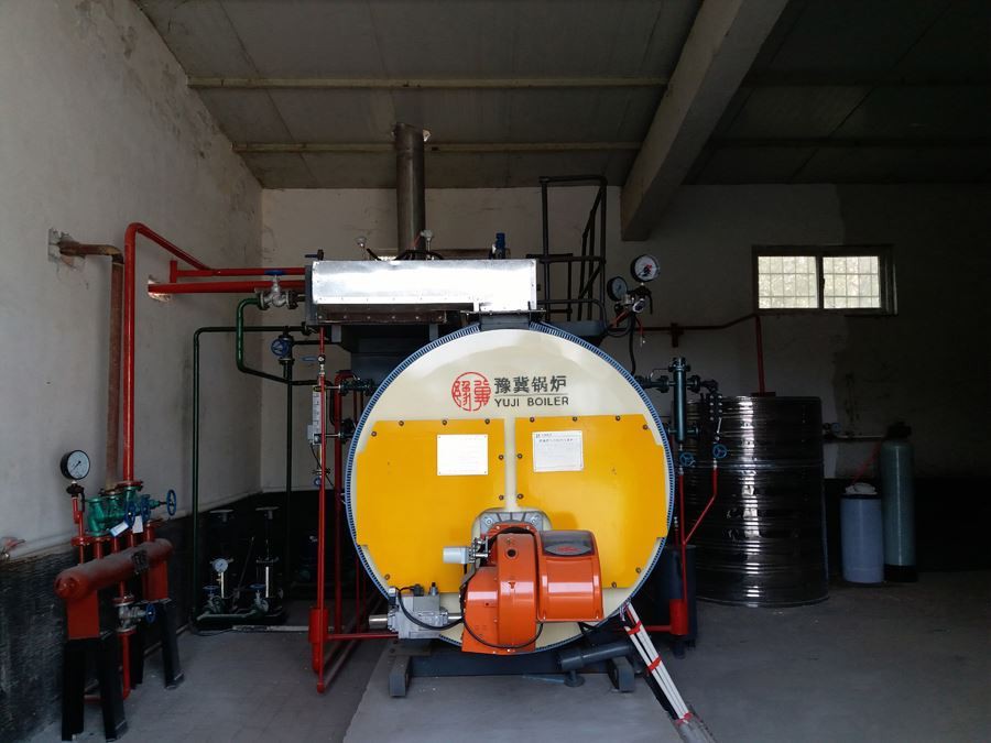 معالجة الغذاء